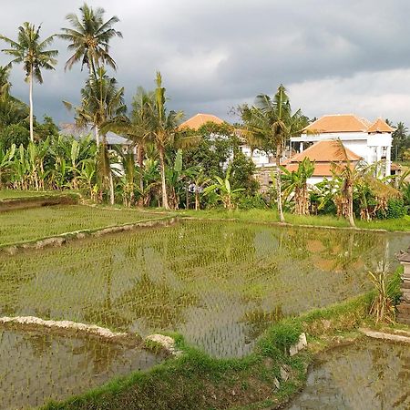 Villa Lanus Ubud  Luaran gambar