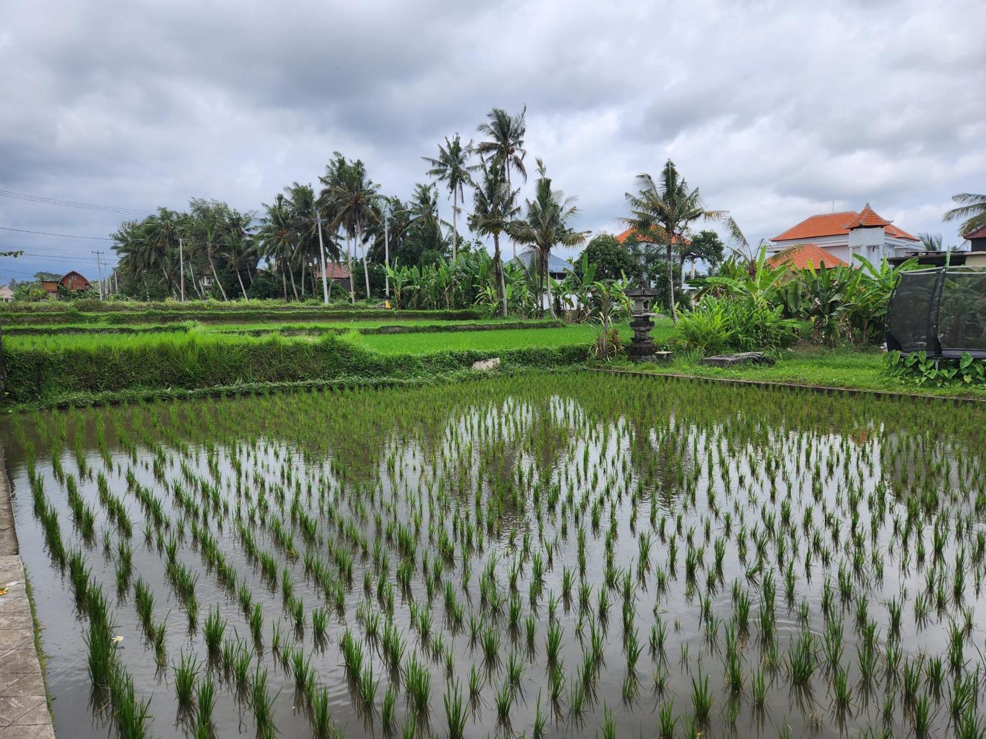 Villa Lanus Ubud  Luaran gambar